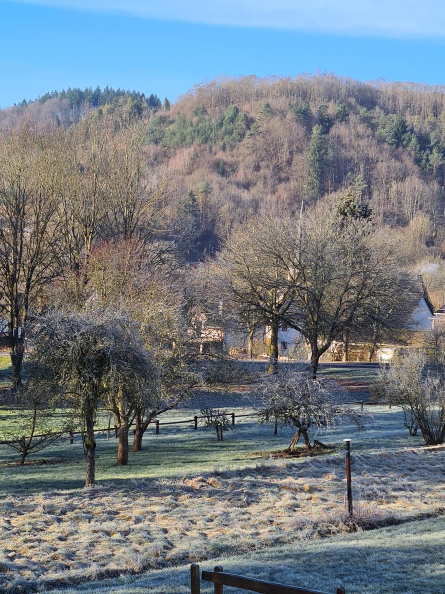 Ferienwohnung Burgblick Pelm Экстерьер фото